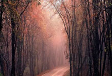 旺财28官网：梅西：这将是我最后一届世界杯 2014年本该赢得决赛.