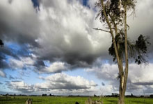 2024年中国篮球名人堂入堂名单公布，巩晓彬、苗立杰等入选@中国篮球协会.