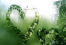 新赛季球衣肩带将印44号 以纪念杰里-韦斯特.