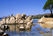 2024年中国篮球名人堂入堂名单公布,巩晓彬、苗立杰等入选@中国篮球协会.